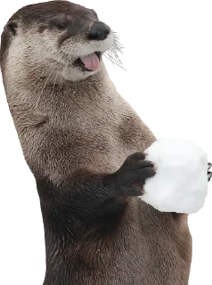 Sticker Otters Gotta Ott 3 - 4