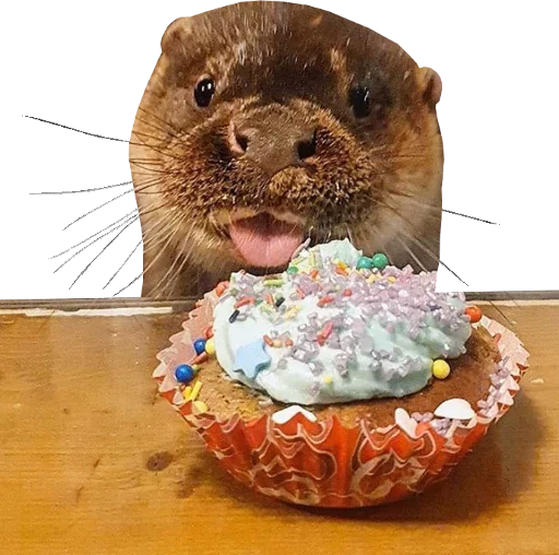 Otters Gotta Ott 4 - 