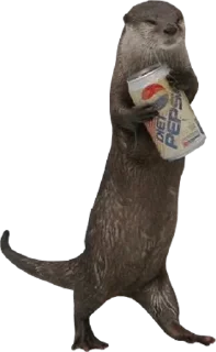 Стикер Otters Gotta Ott 4 - 5