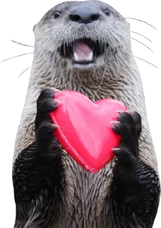 Стикер Otters Gotta Ott 4 - 7