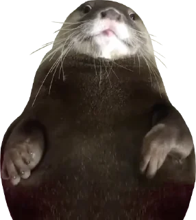 Стикер Otters Gotta Ott 4 - 3