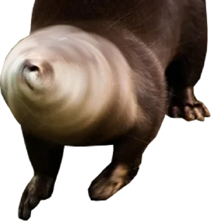 Стикер Otters Gotta Ott 4 - 11