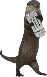 Стикер Otters Gotta Ott 4 - 6