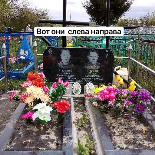 СМС на открытом воздухе растение