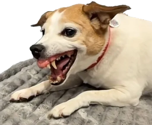 Sticker Outlawpack - 1