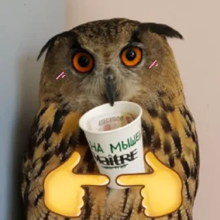 Стикер Совушки🦉🪶✨ - 11