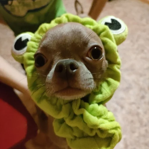 Sticker OwrStich - 1