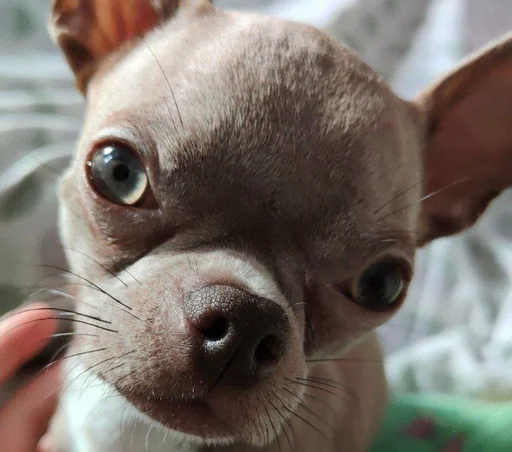 Стикер OwrStich - 1