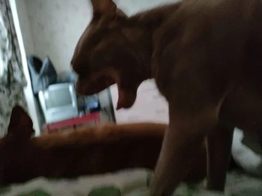 Стикер OwrStich - 1