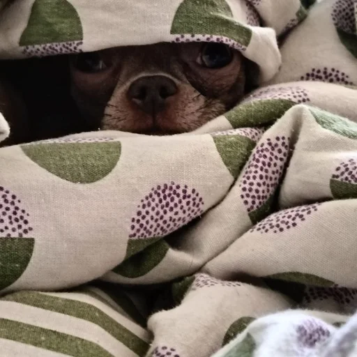 Sticker OwrStich - 1