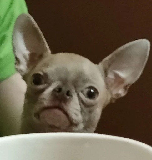 Sticker OwrStich - 1