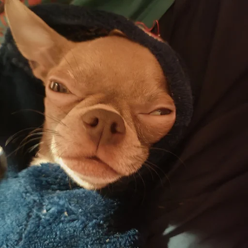 Sticker OwrStich - 1