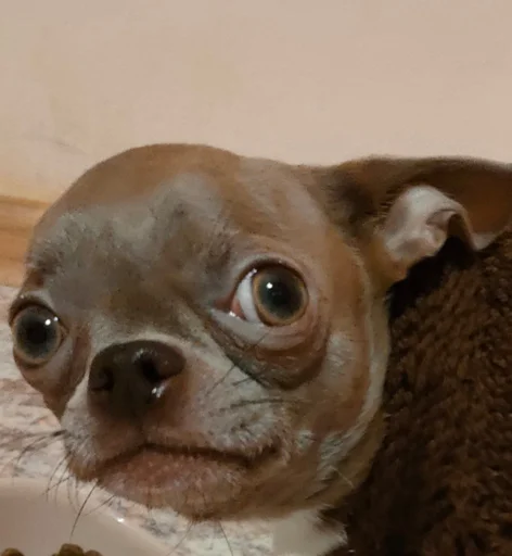 Sticker OwrStich - 1