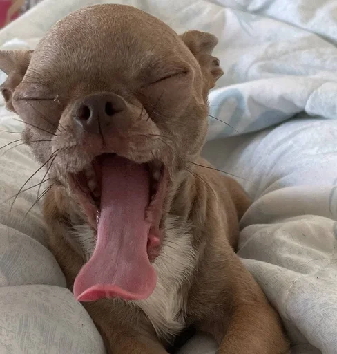 Sticker OwrStich - 1