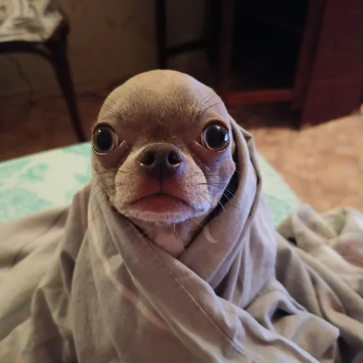 Sticker OwrStich - 1