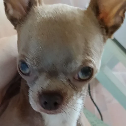 Sticker OwrStich - 1