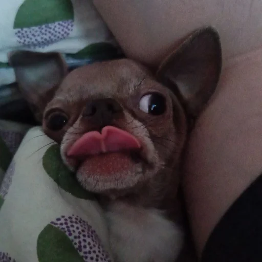 Sticker OwrStich - 1