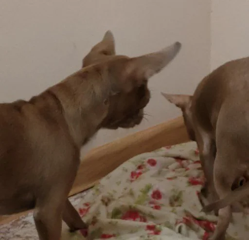 Sticker OwrStich - 1