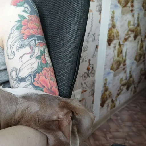 Sticker OwrStich - 1