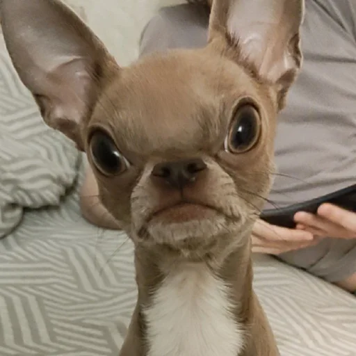 Sticker OwrStich - 1