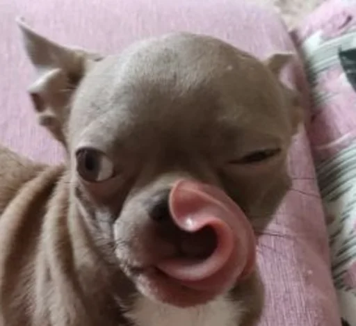 Sticker OwrStich - 1