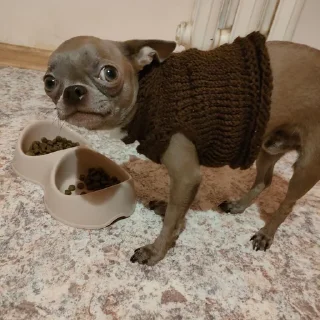 Стикер Стич - 0