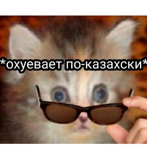 Sticker Охуеваем вместе - 8