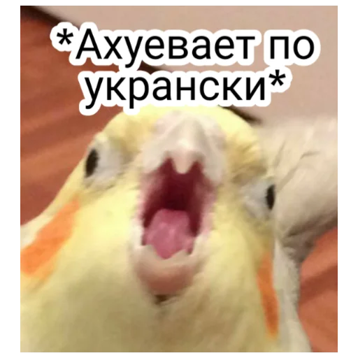 Sticker Охуеваем вместе - 7