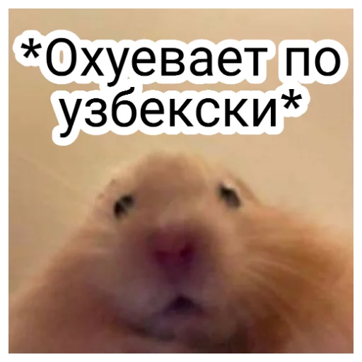 Sticker Охуеваем вместе - 5