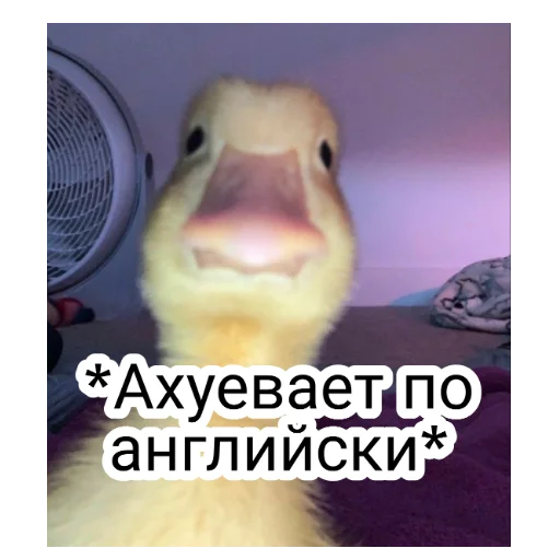 Sticker Охуеваем вместе - 0