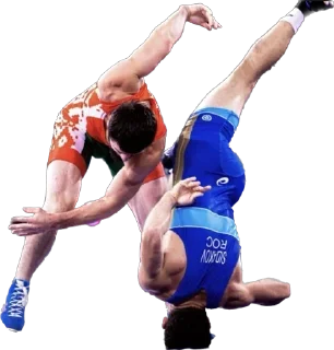 Sticker wrest_review • @sticbot - 0