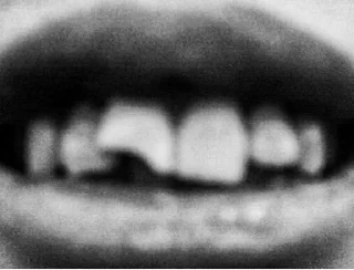 Sticker drugduckgofuck • @sticbot - 8