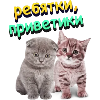 Sticker Sticker Tools App - 11