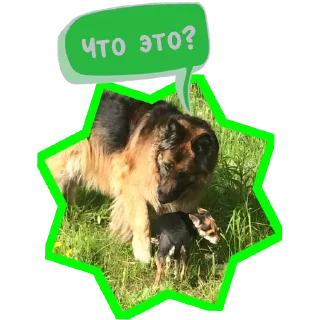 Sticker Sticker Tools App - 0