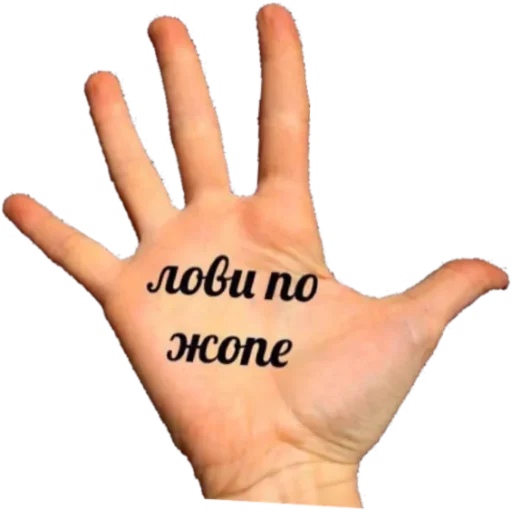 Sticker PAB46EEAE1FB356453DBE55_by_StickerToolsBot - 1