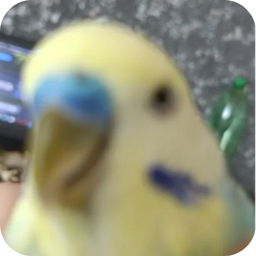 КИРЮША БЫЛ ПАЦАН И ОСТАЛСЯ ПАЦАНОМ - 