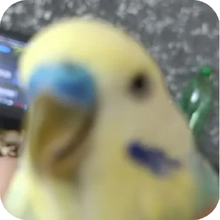 Sticker КИРЮША БЫЛ ПАЦАН И ОСТАЛСЯ ПАЦАНОМ - 11