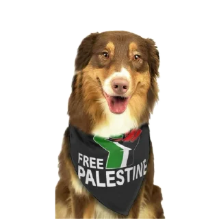 Стикер $PALESTINE - 2