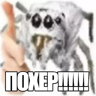 Стикер КРАСАВА - 1