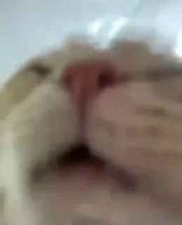 Sticker Больше стиков тут: @stikery4 - 11