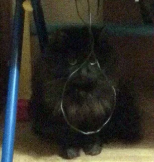 Sticker Больше стиков тут: @stikery4 - 10