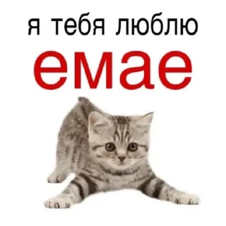 Sticker Создано в @sozdsti_bot - 0