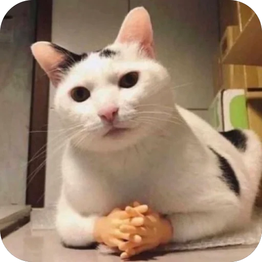 Стикер PEACEXLLOVE8 - 1