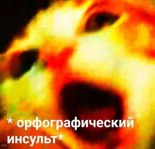 СМС скриншот животное