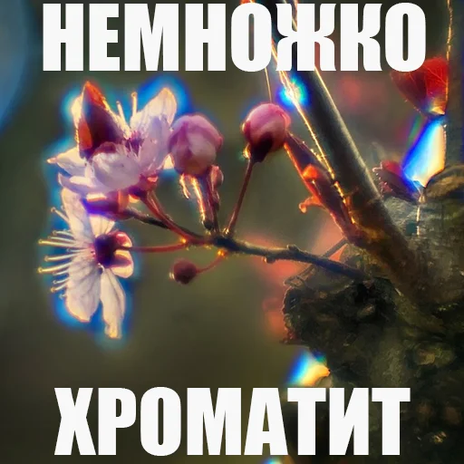 Стикер PHOTOBOMBILA - 1