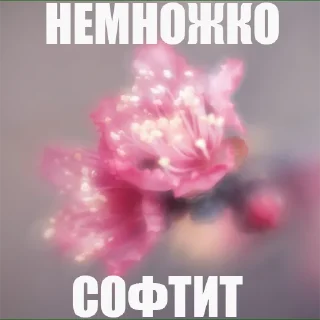 Sticker ФОТОБОМБИЛЫ - 6