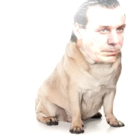 Sticker PHtvTjz_by_achestickbot - 1