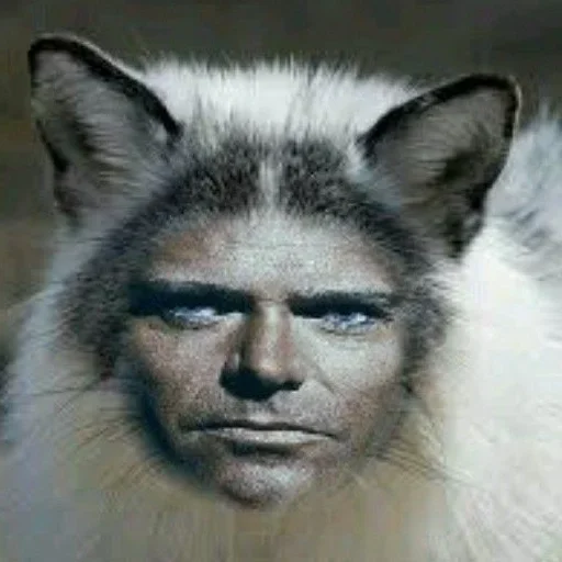 Sticker PHtvTjz_by_achestickbot - 1