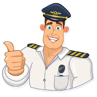 Sticker FLYING UPSIDE DOWN - 4