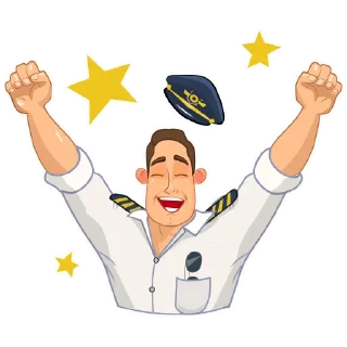 Sticker FLYING UPSIDE DOWN - 9